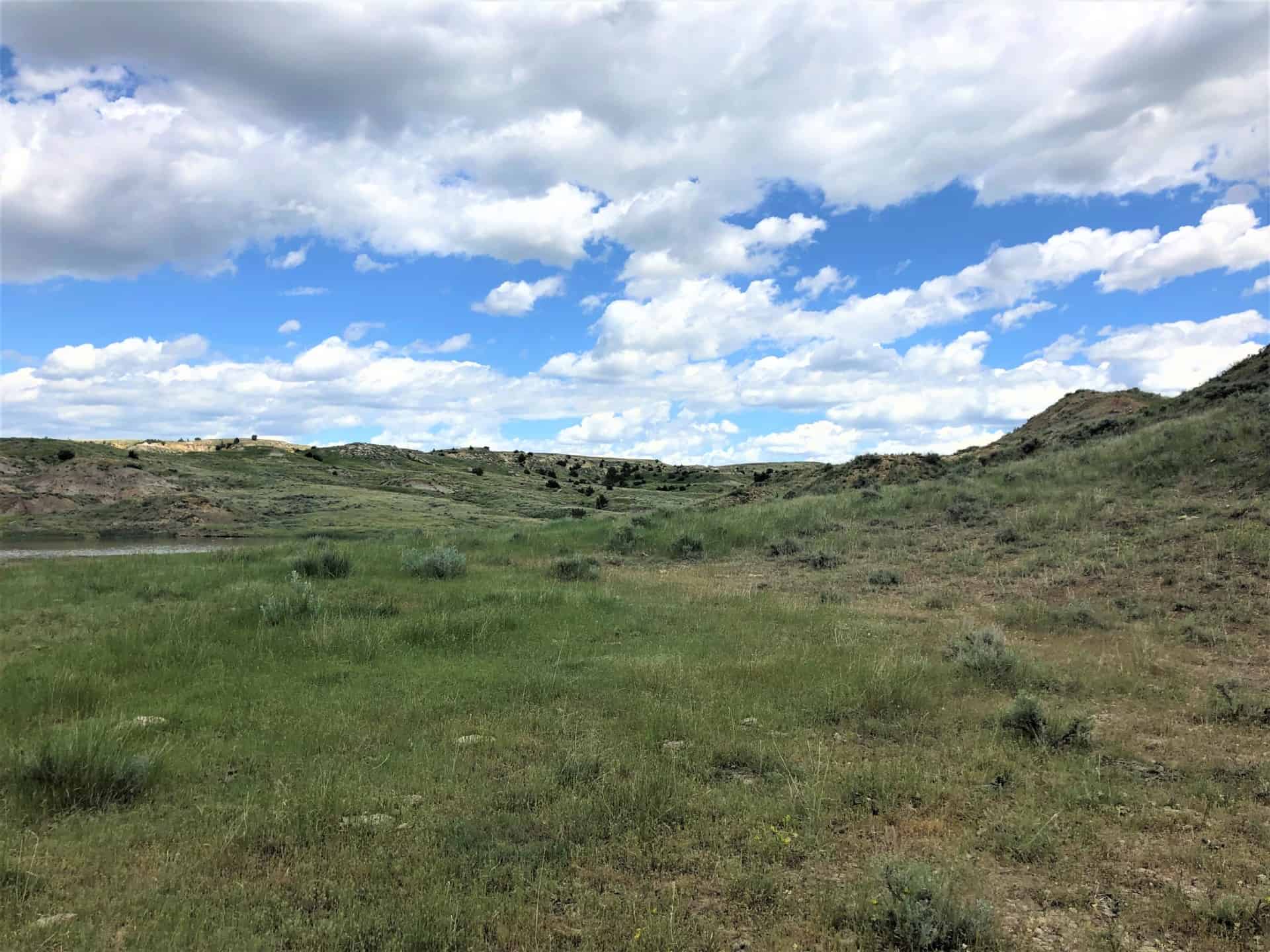 Grazing Land Montana Plum Coulee Fork Ranch