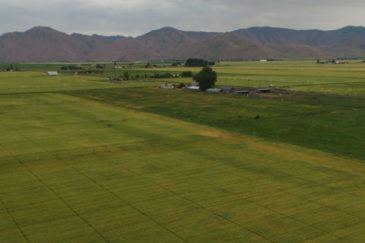 Idaho Ranch for Sale Sherbine Ranch