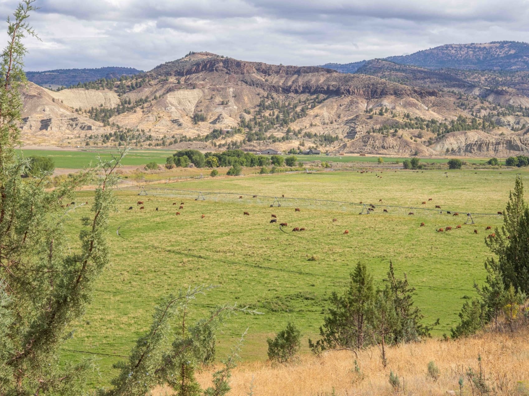 cattle property for sale oregon land circle w ranch