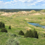 montana farm ranch for sale plum coulee fork ranch