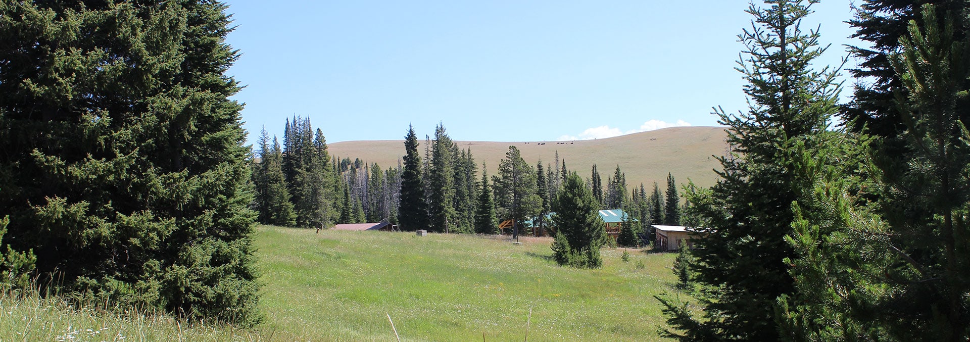 montana land for sale hoodoo creek mountain retreat