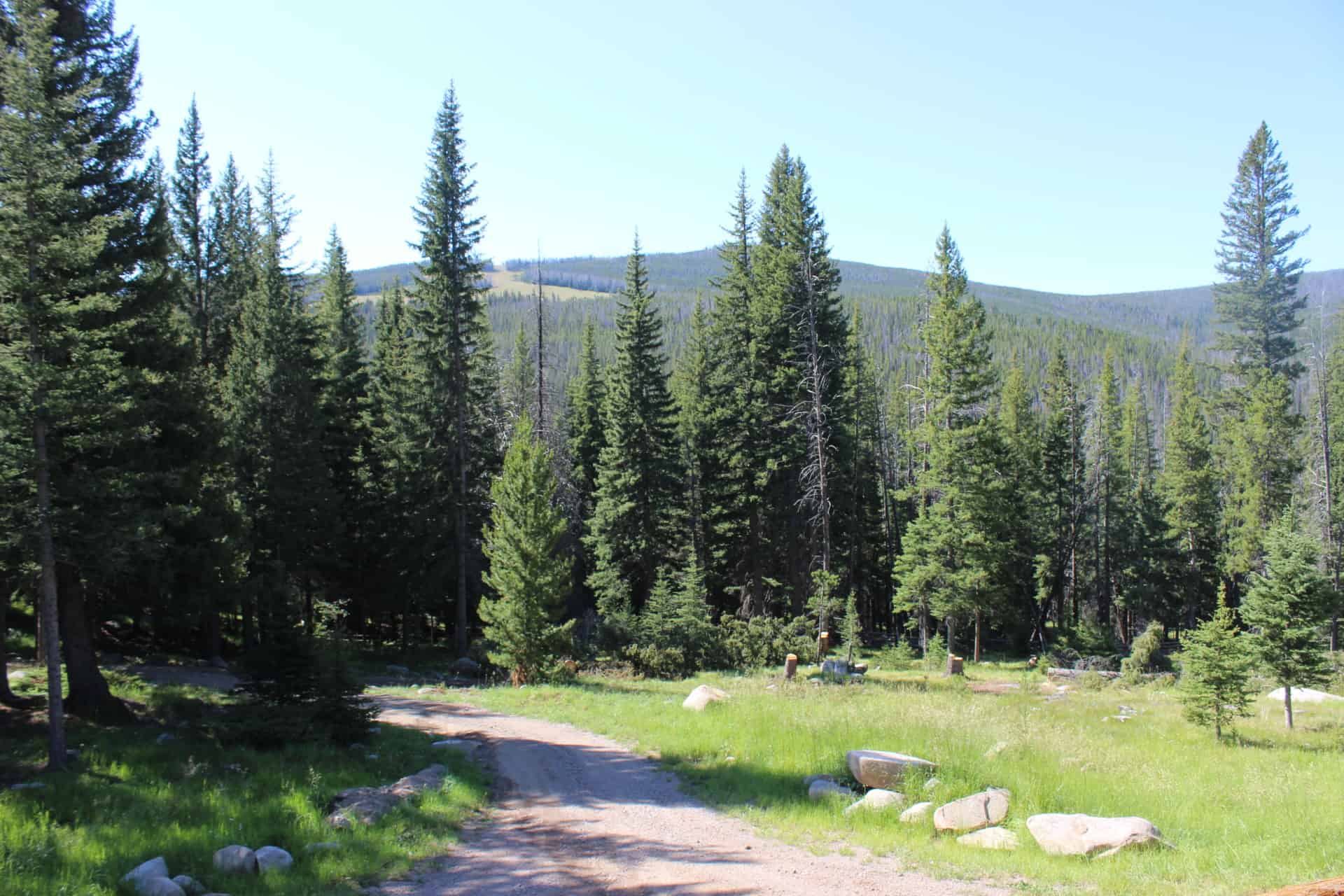 timber land for sale montana hoodoo creek mountain retreat