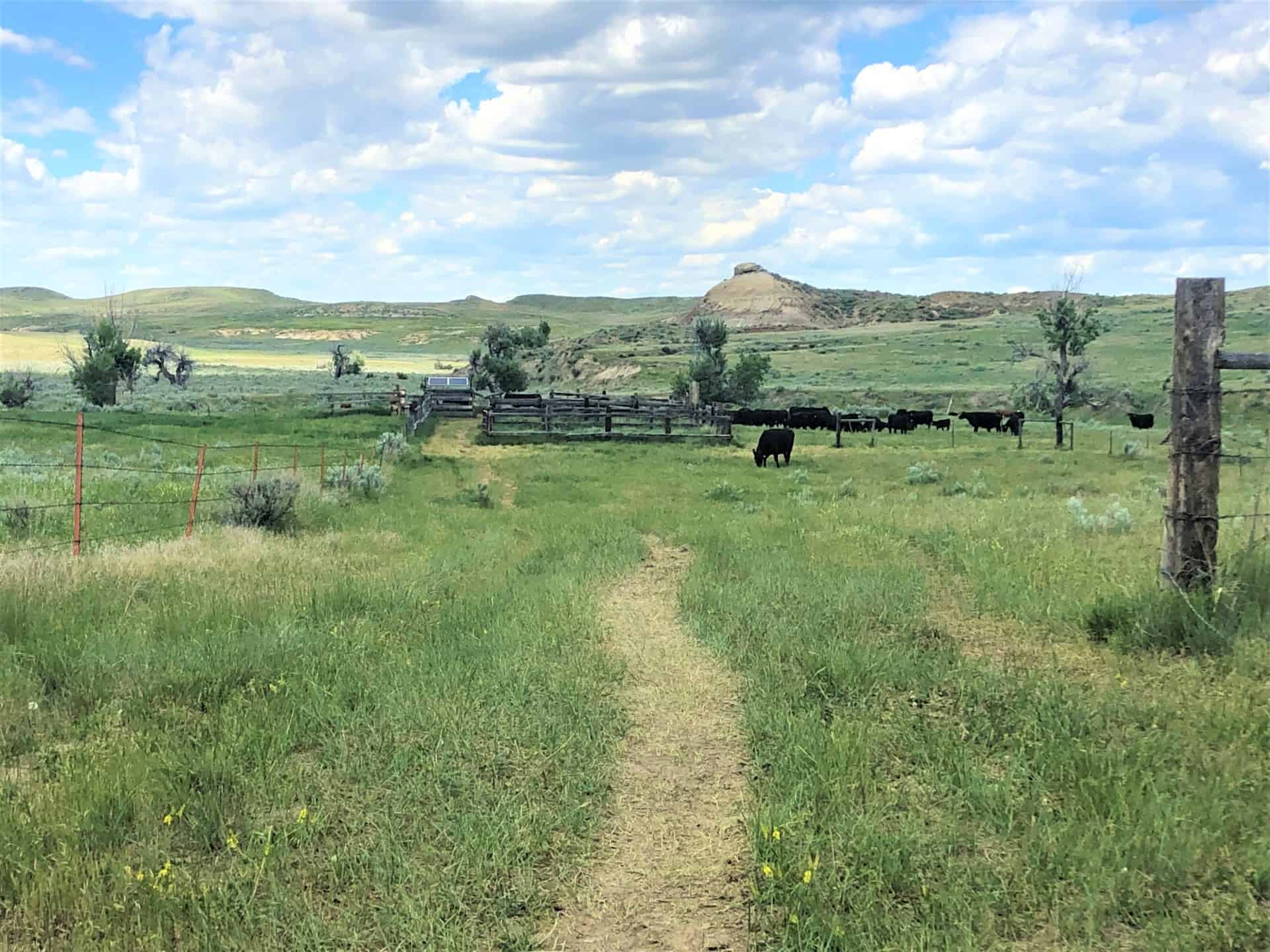 Working Farm Montana Plum Coulee Fork Ranch