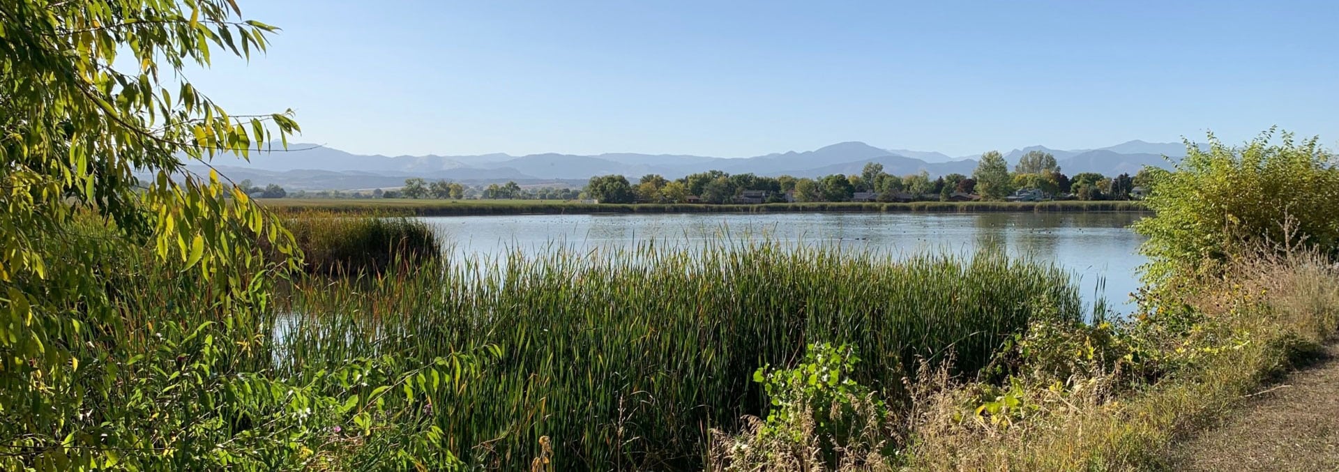 colorado land for sale cattail pond