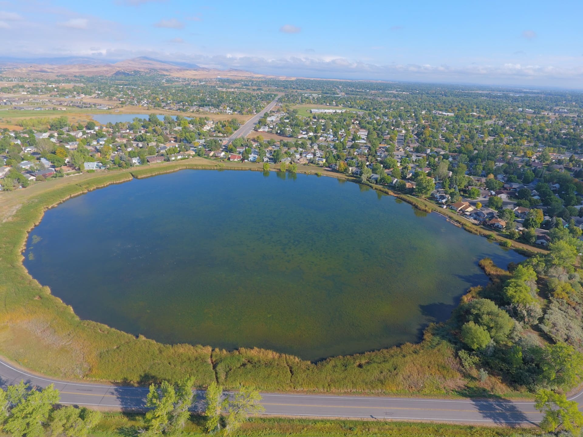 Loveland Colorado Cattail Pond