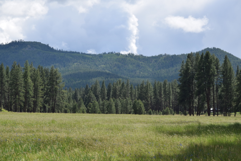 Sumpter Valley Elkhorn View Ranch | Oregon Timberland | Fay Ranches