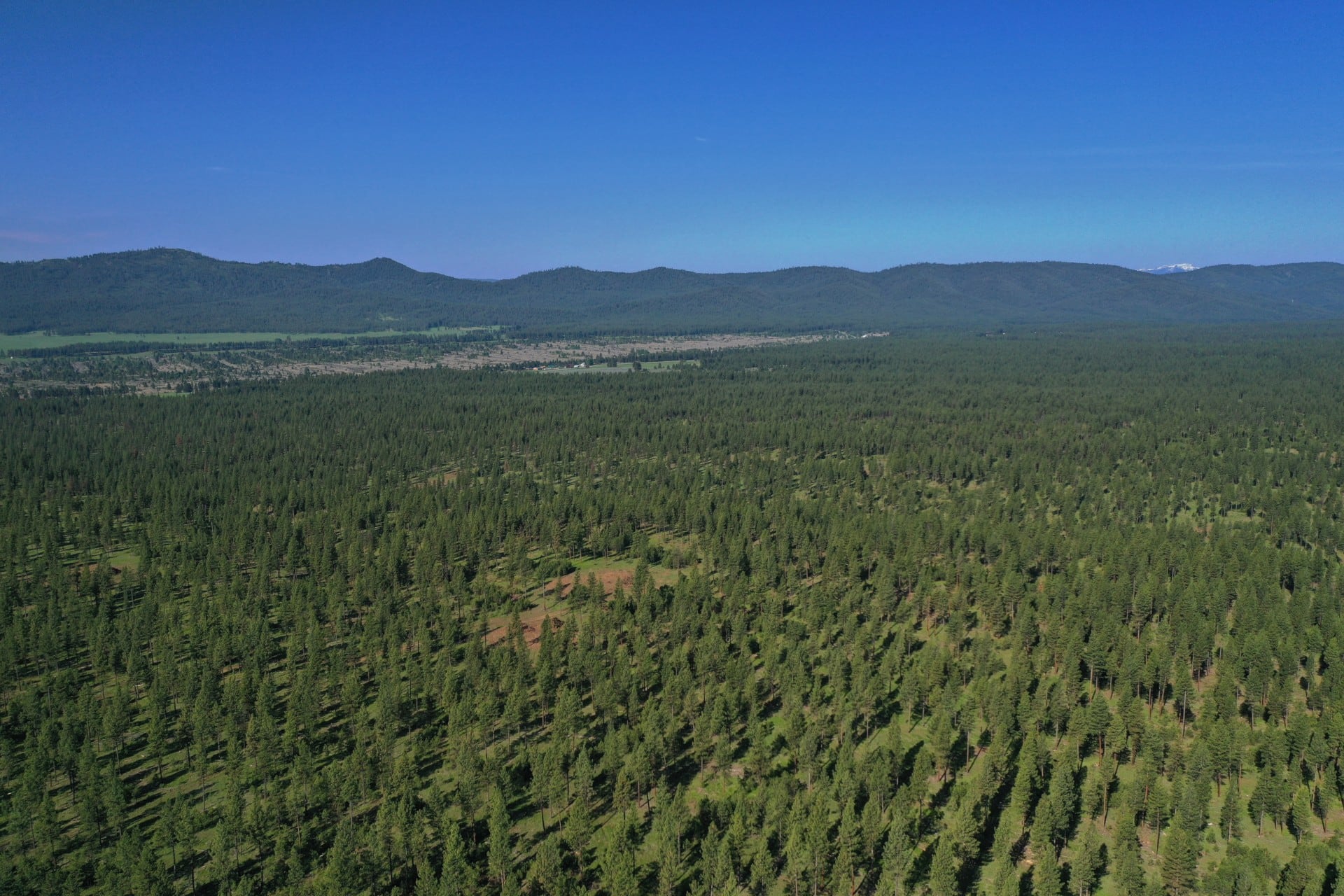 timber land for sale oregon sumpter valley elkhorn view ranch