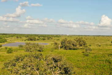pond and house texas shouse goliad ranch