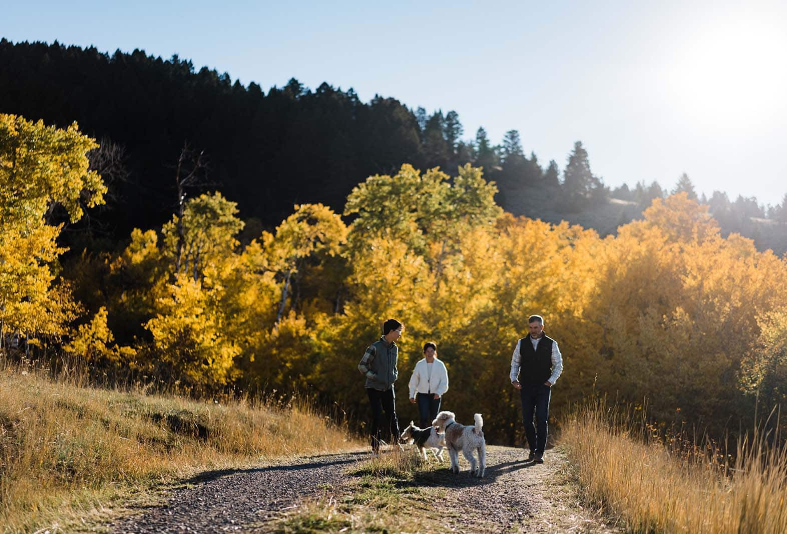 ryan bramlette family dogs walking in fall