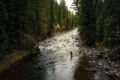 ryan bramlette fishing in stream