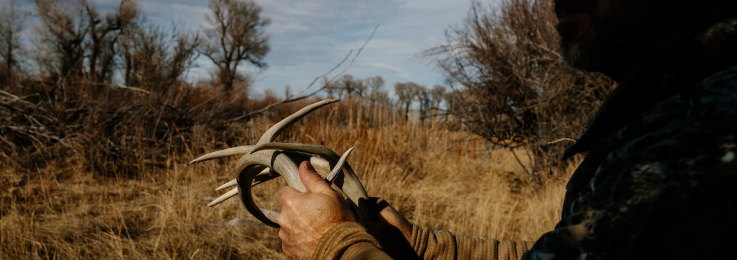 5 Simple Steps to a Better Whitetail property Fay Ranches