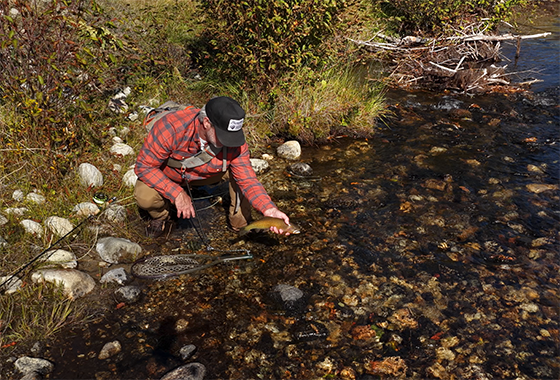 ryan bramlette ranch sales montana fishing 2026