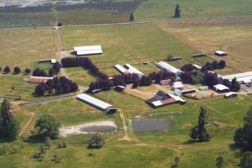 Washington Ranch for Sale Tenino Alpaca Ranch Property