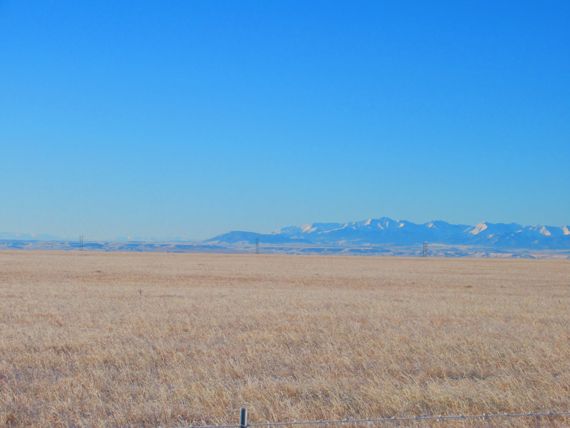Crazy Mountain Views Montana Big Country Grass Ranch