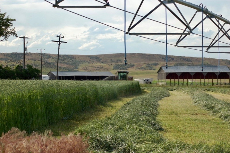 Silver Sage Ranch Idaho Cattle Ranch Fay Ranches