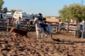 Dixie Barry Idaho Farm and Ranch Sales Breakaway