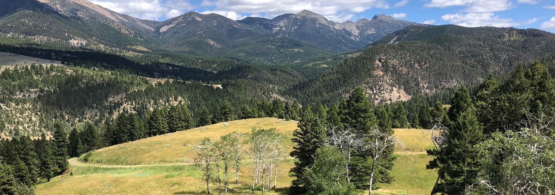 montana land for sale dancing bear ranch