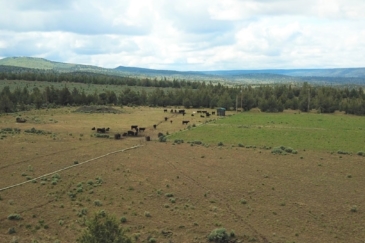 Oregon Ranch Land for Sale Salt Creek Ranch