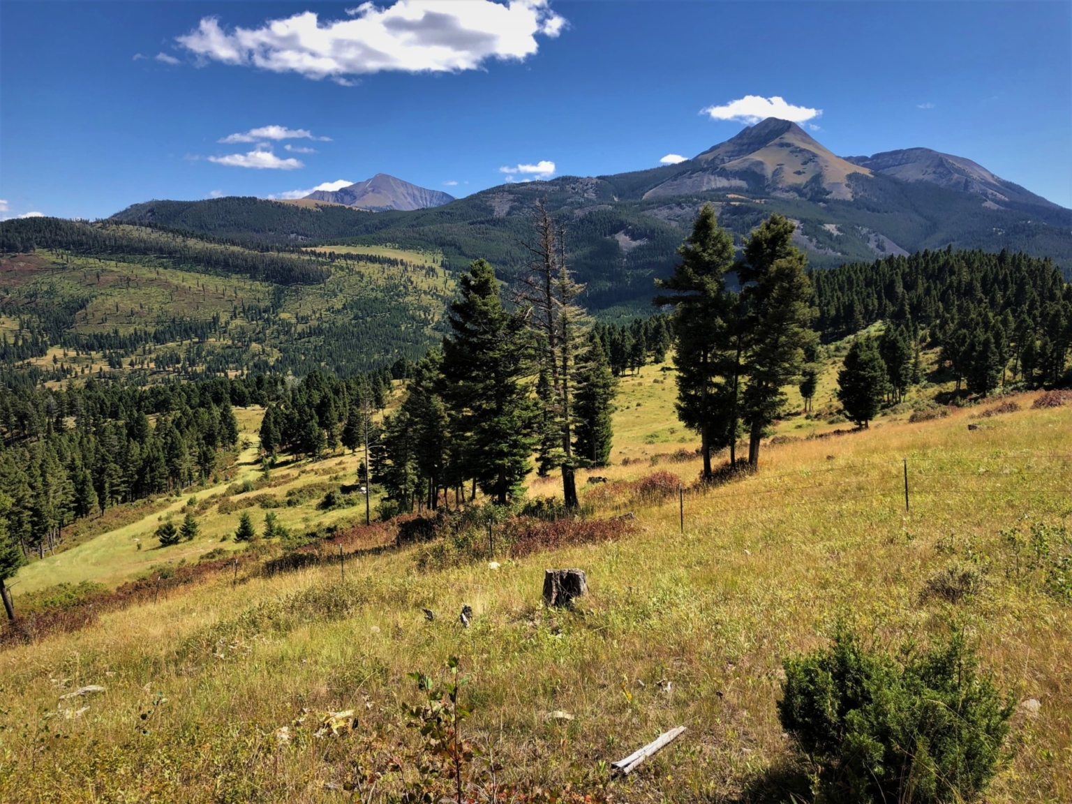 Dancing Bear Ranch Montana Mountain Retreat Fay Ranches