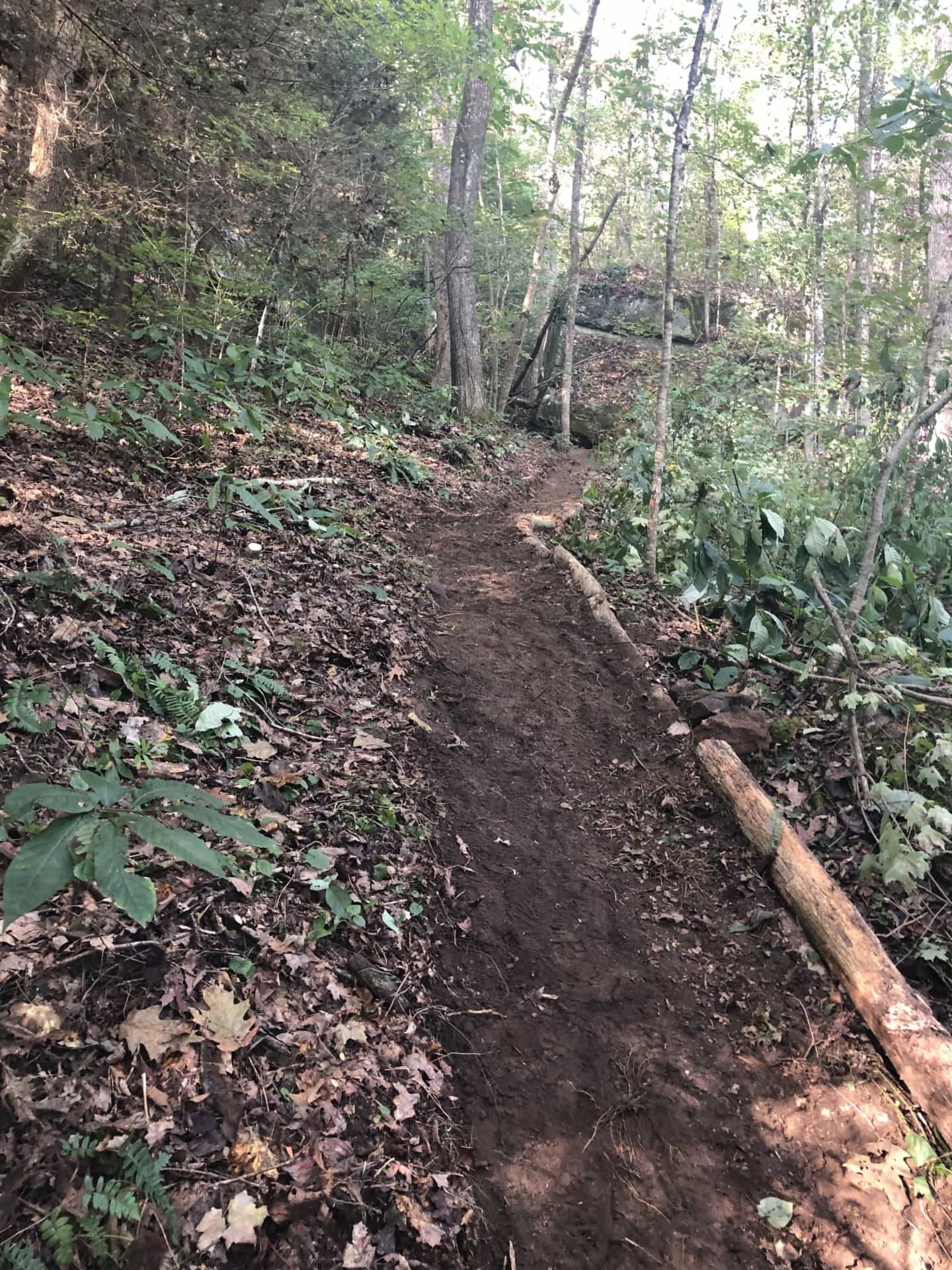 Hand Cut Trail Tennessee Stone Point