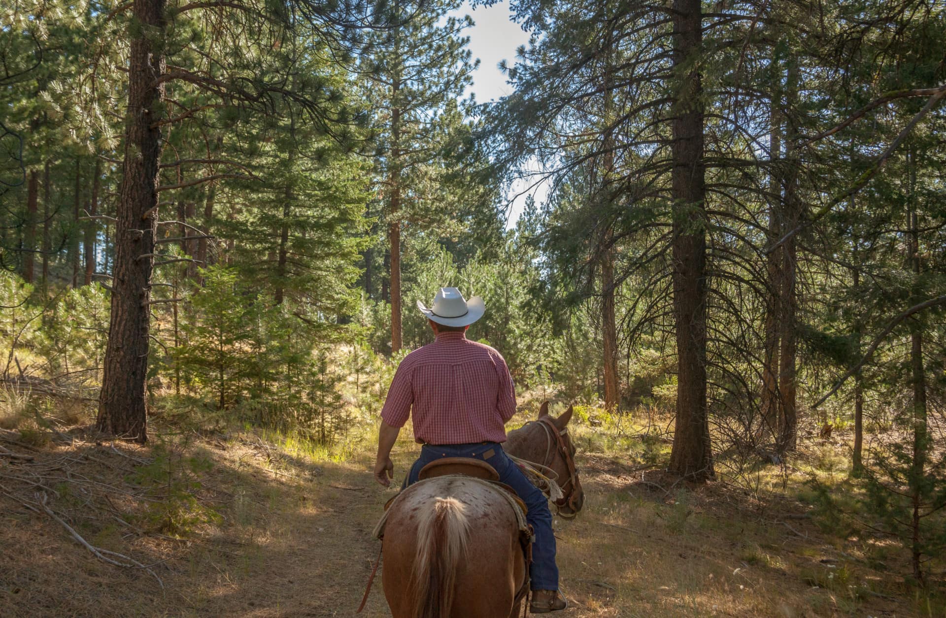 horse rider oregon foley butte ranch