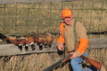 Mike Konstant South Dakota Designated Broker Hunting