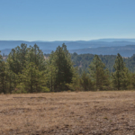 oregon timber property for sale foley butte ranch