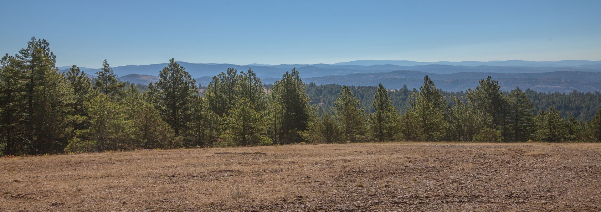 oregon timber property for sale foley butte ranch