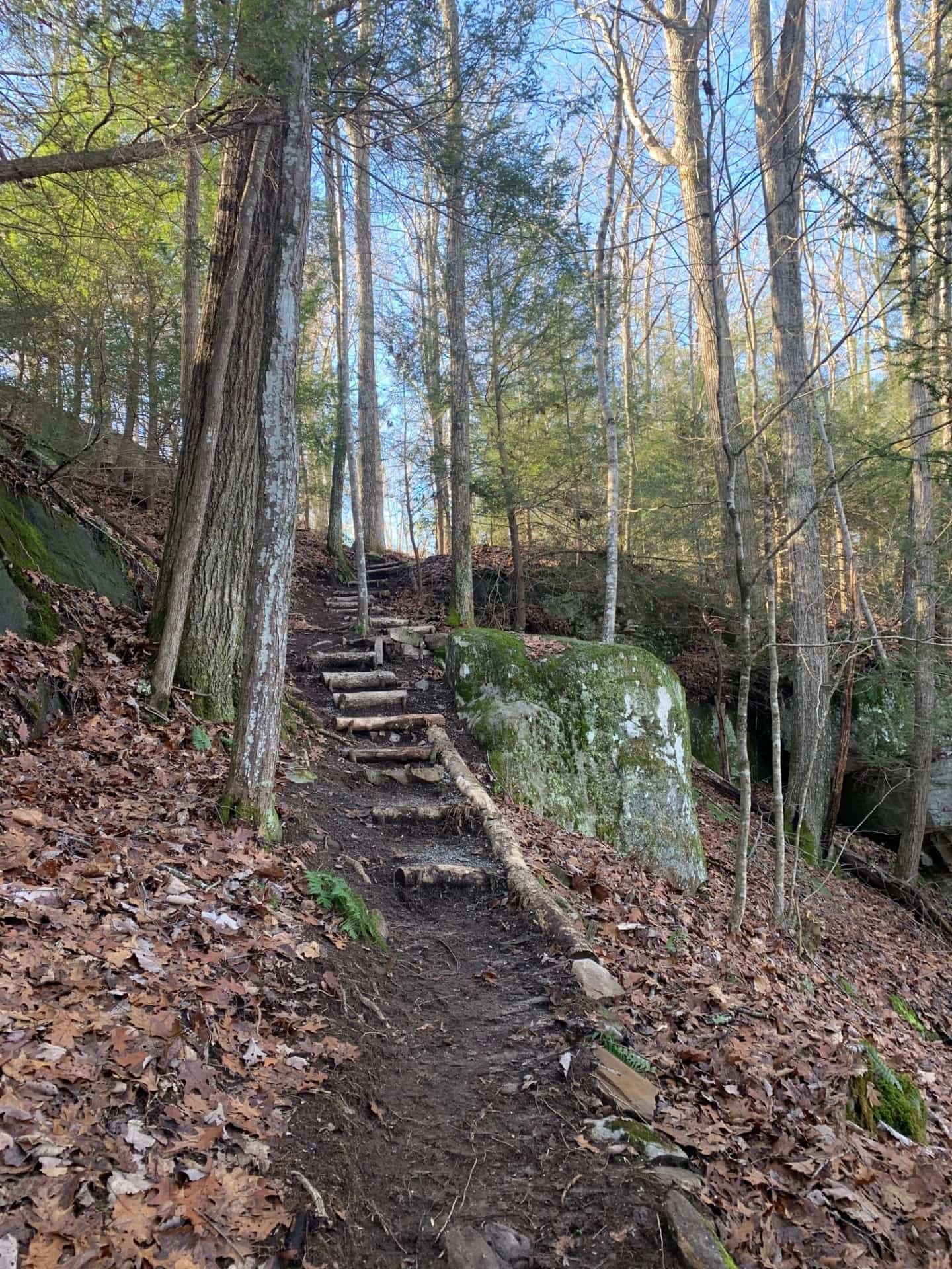Private Trail Tennessee Stone Point