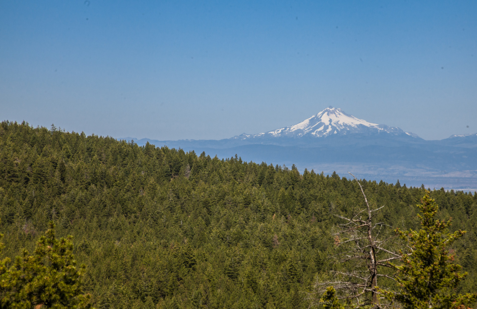 Foley Butte Ranch | Oregon Big Game Hunting | Fay Ranches