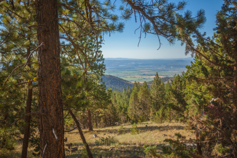 Foley Butte Ranch | Oregon Big Game Hunting | Fay Ranches