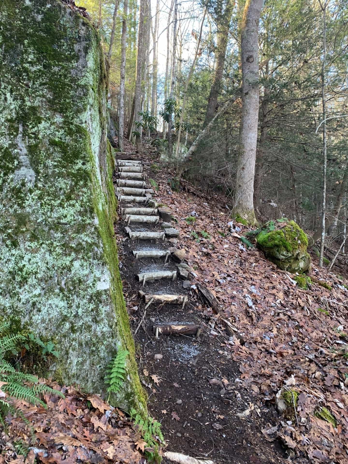 Trail Stairs Tennessee Stone Point