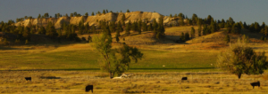 wyoming property for sale bar u ranch parcel 2
