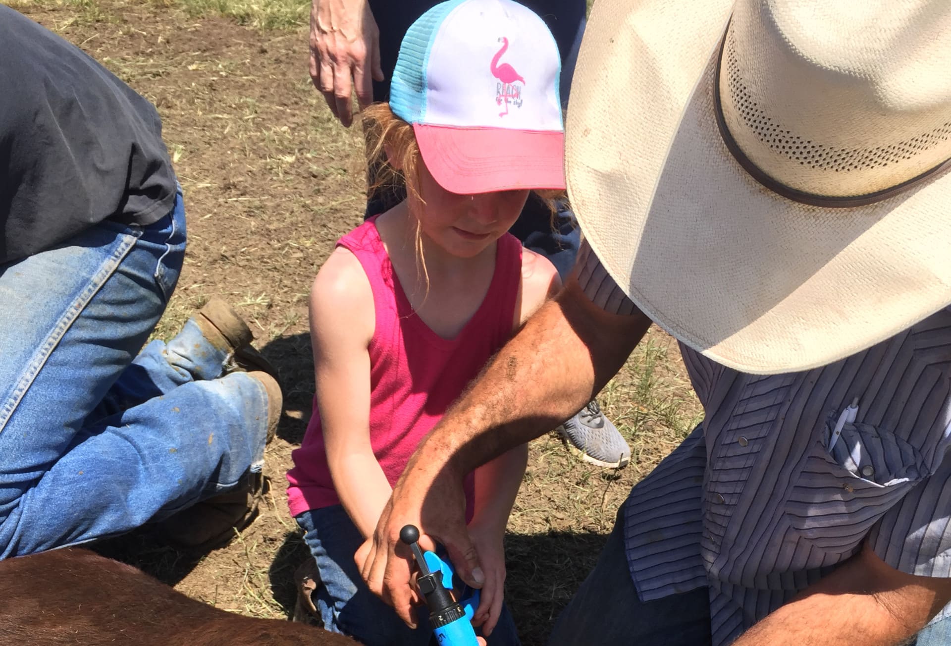Alex Robertson Oregon Broker Cattle Agriculture