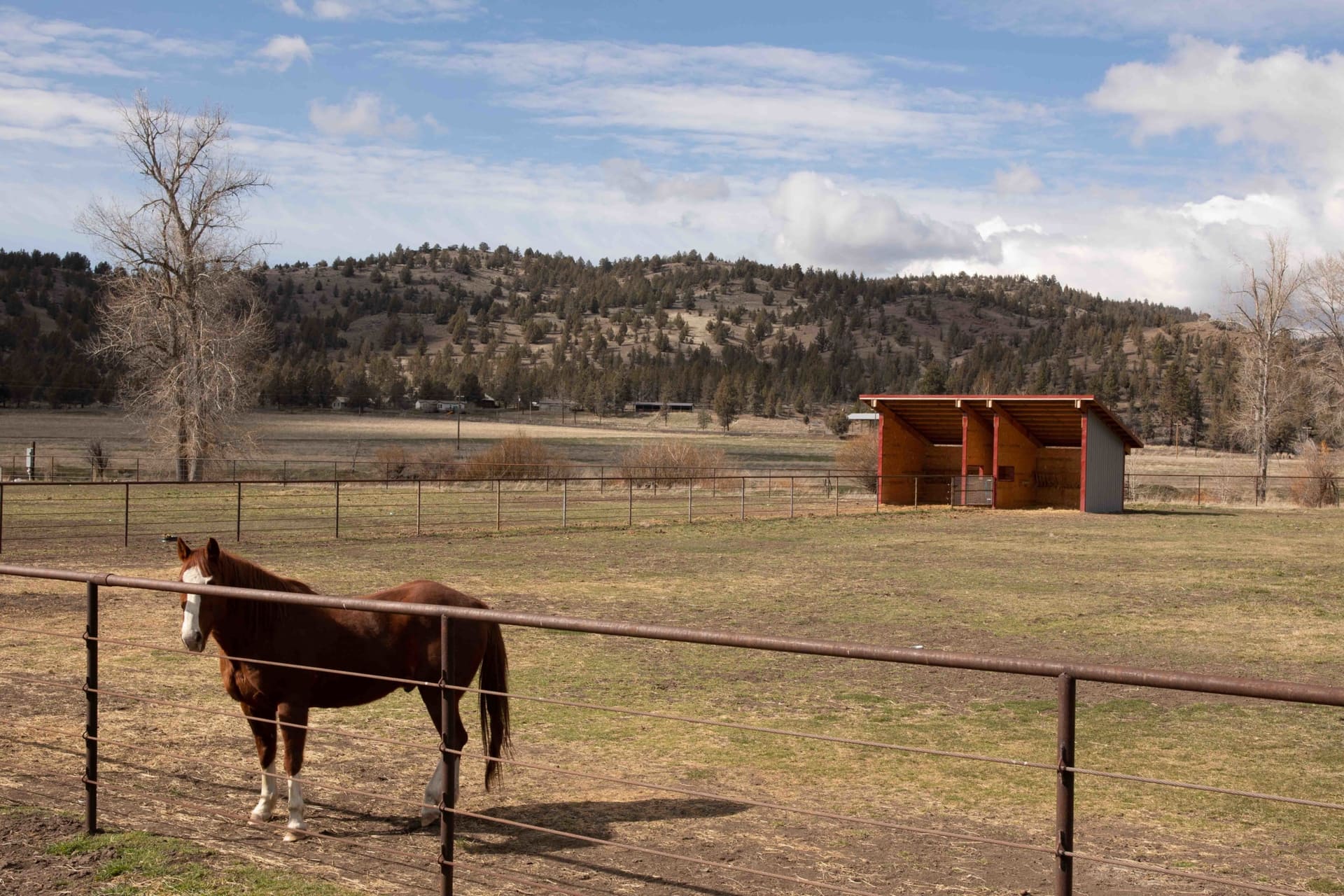 equestrian ranch for sale oregon Mckay Creek Ranch
