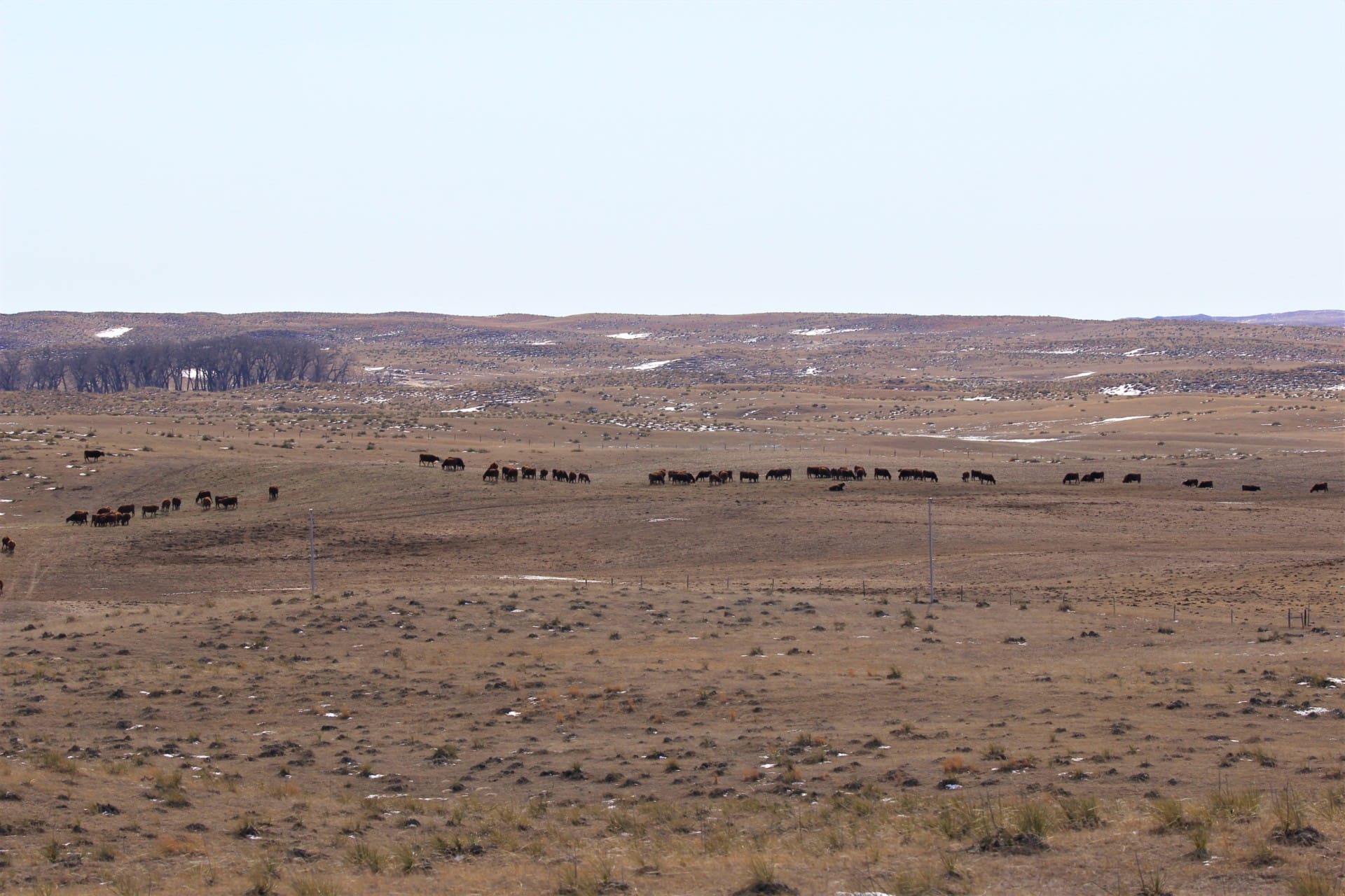 grazing acreages south dakota stewart quarter horse cattle ranch