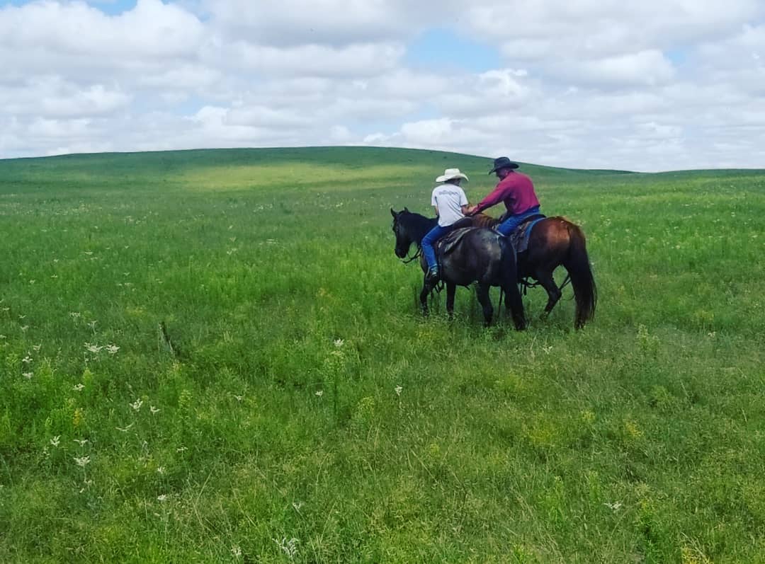 horse riders south dakota stewart quarter horse cattle ranch
