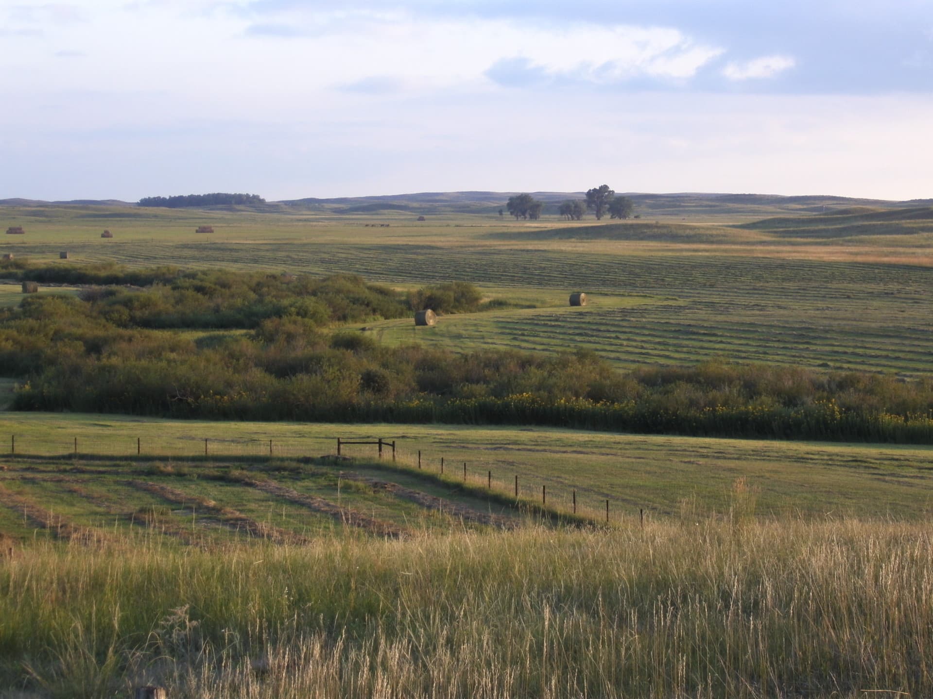 land with homes for sale south dakota stewart quarter horse cattle ranch