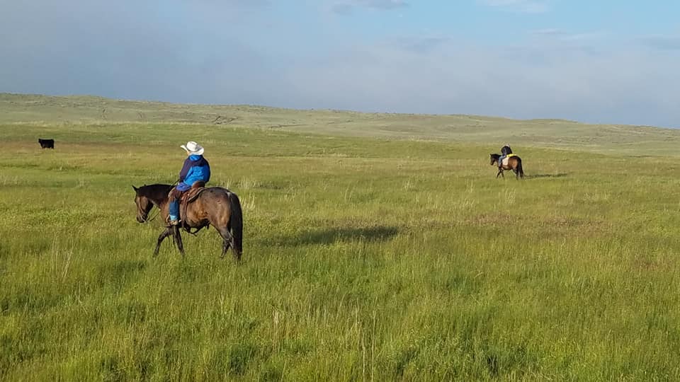 ranch land south dakota stewart quarter horse cattle ranch