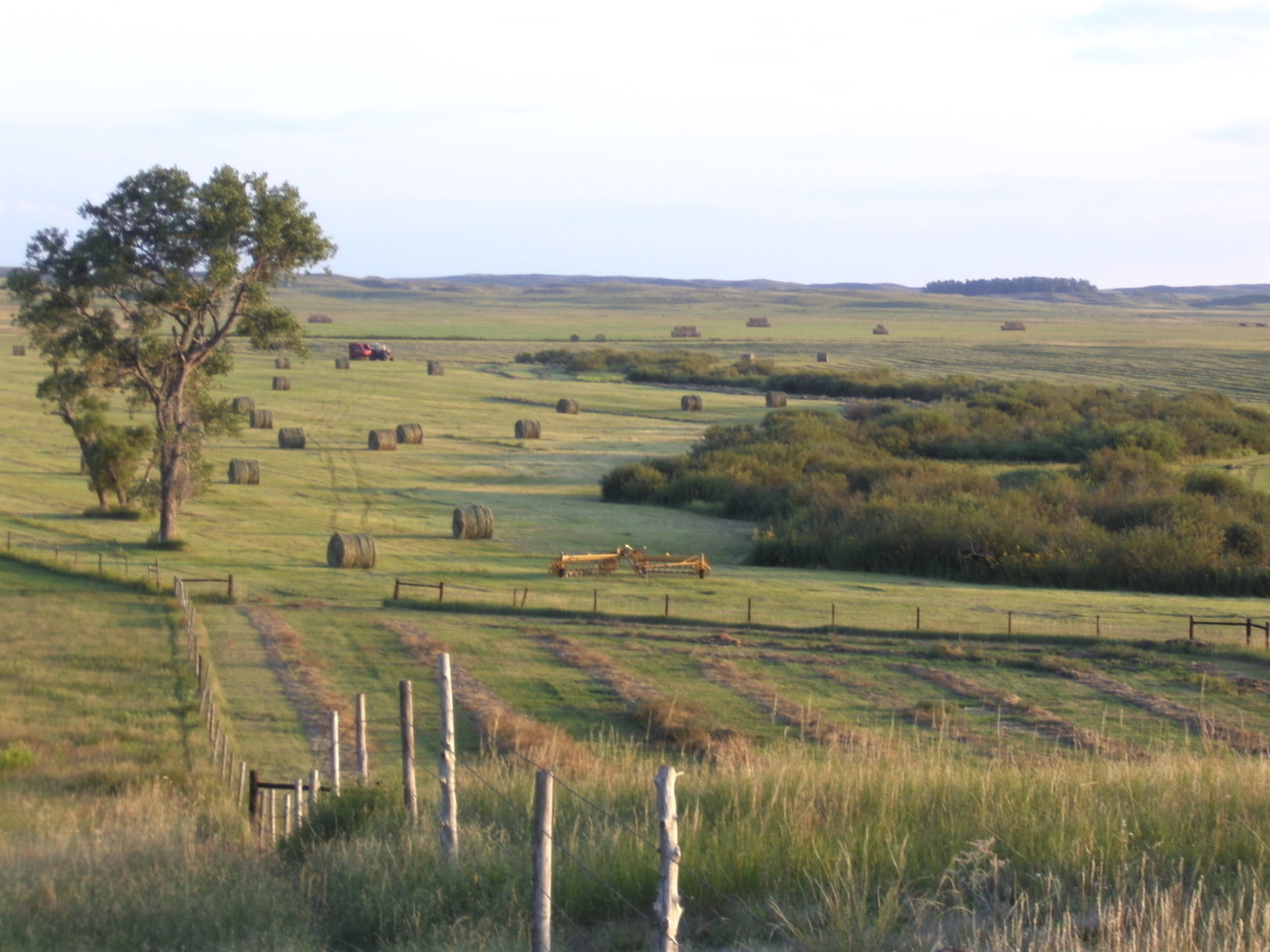 Stewart Quarter Horse & Cattle Ranch | South Dakota | Fay Ranches