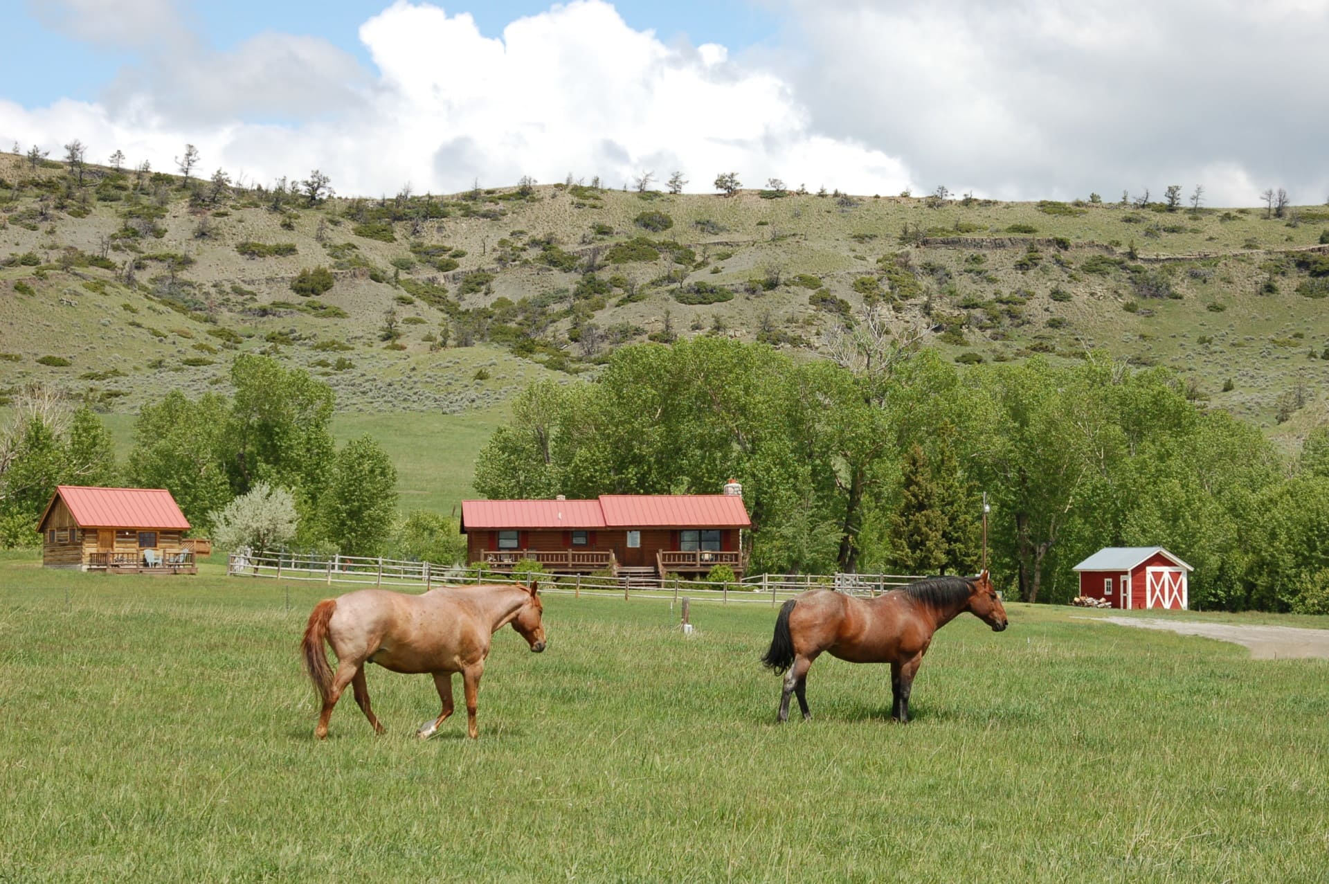 equestrian land for sale montana triple s ranch