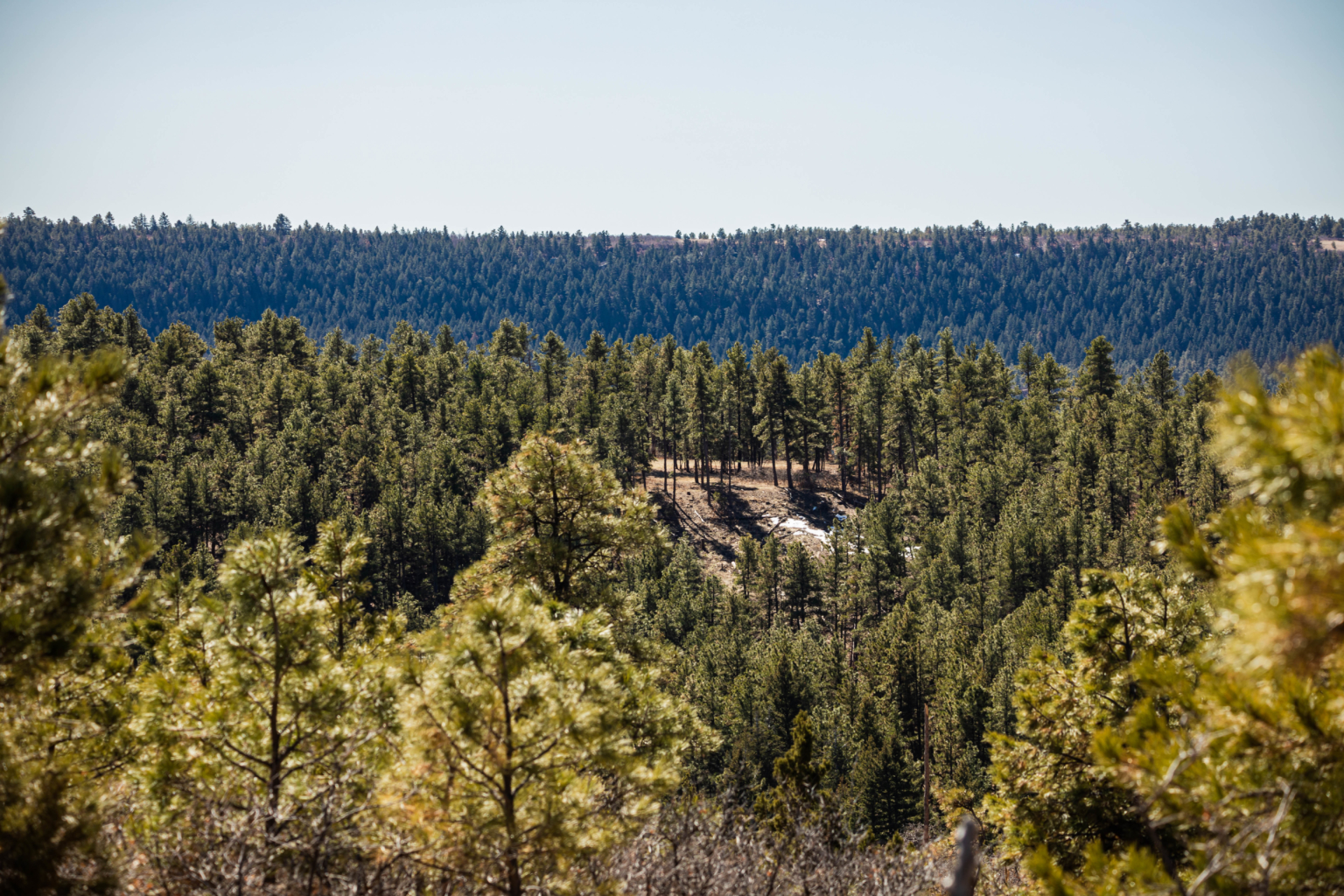 Strawberry Ridge Ranch Colorado Land For Sale Fay Ranches