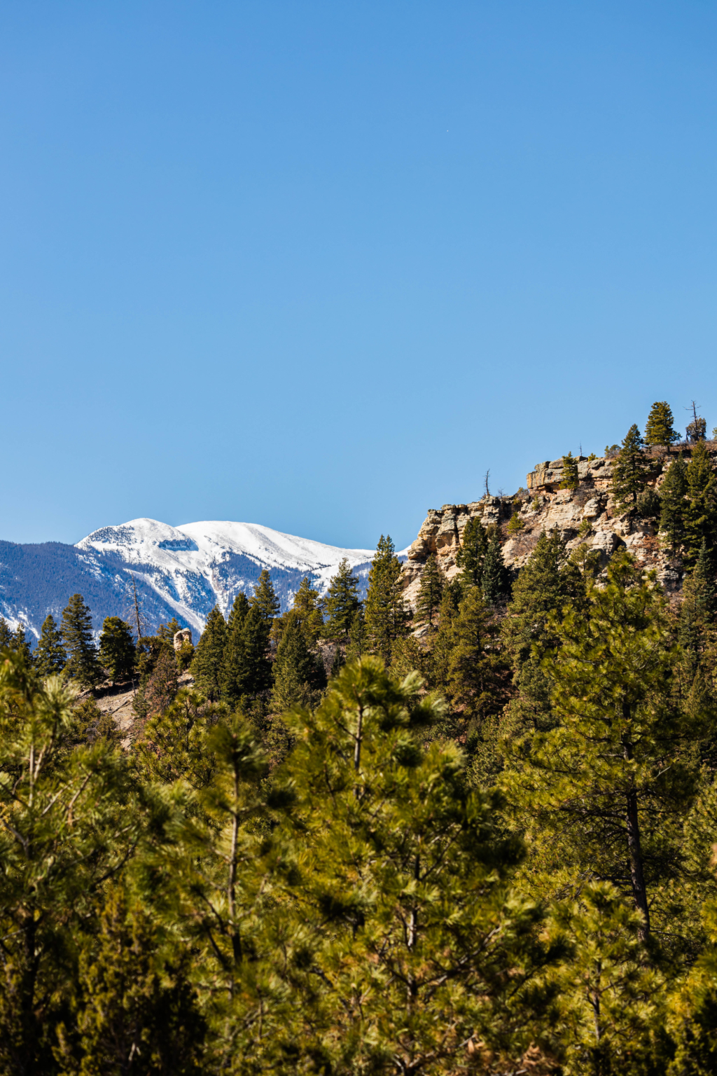 Strawberry Ridge Ranch Colorado Land For Sale Fay Ranches