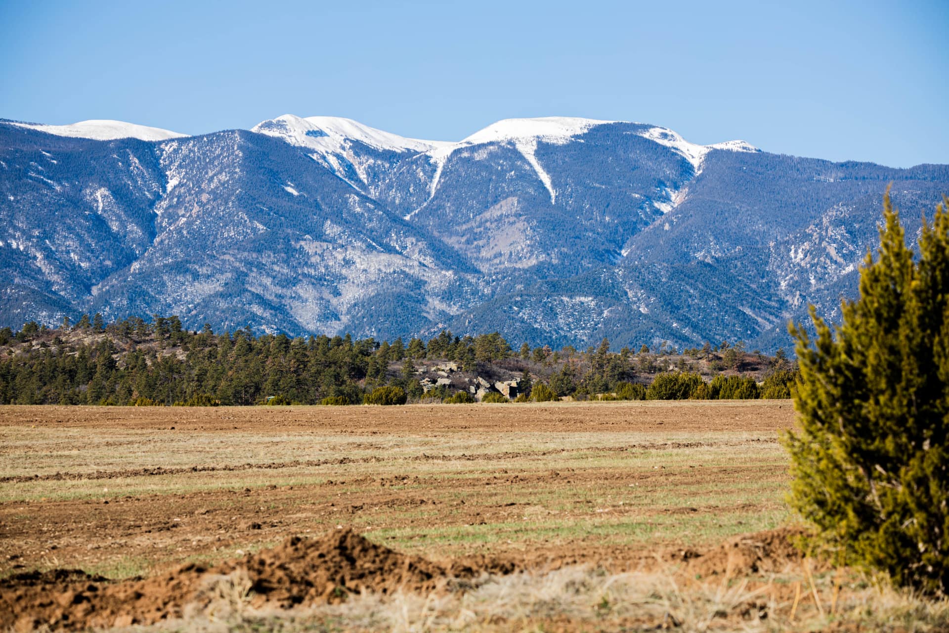 mountainview3coloradostrawberryridgeranch Fay Ranches