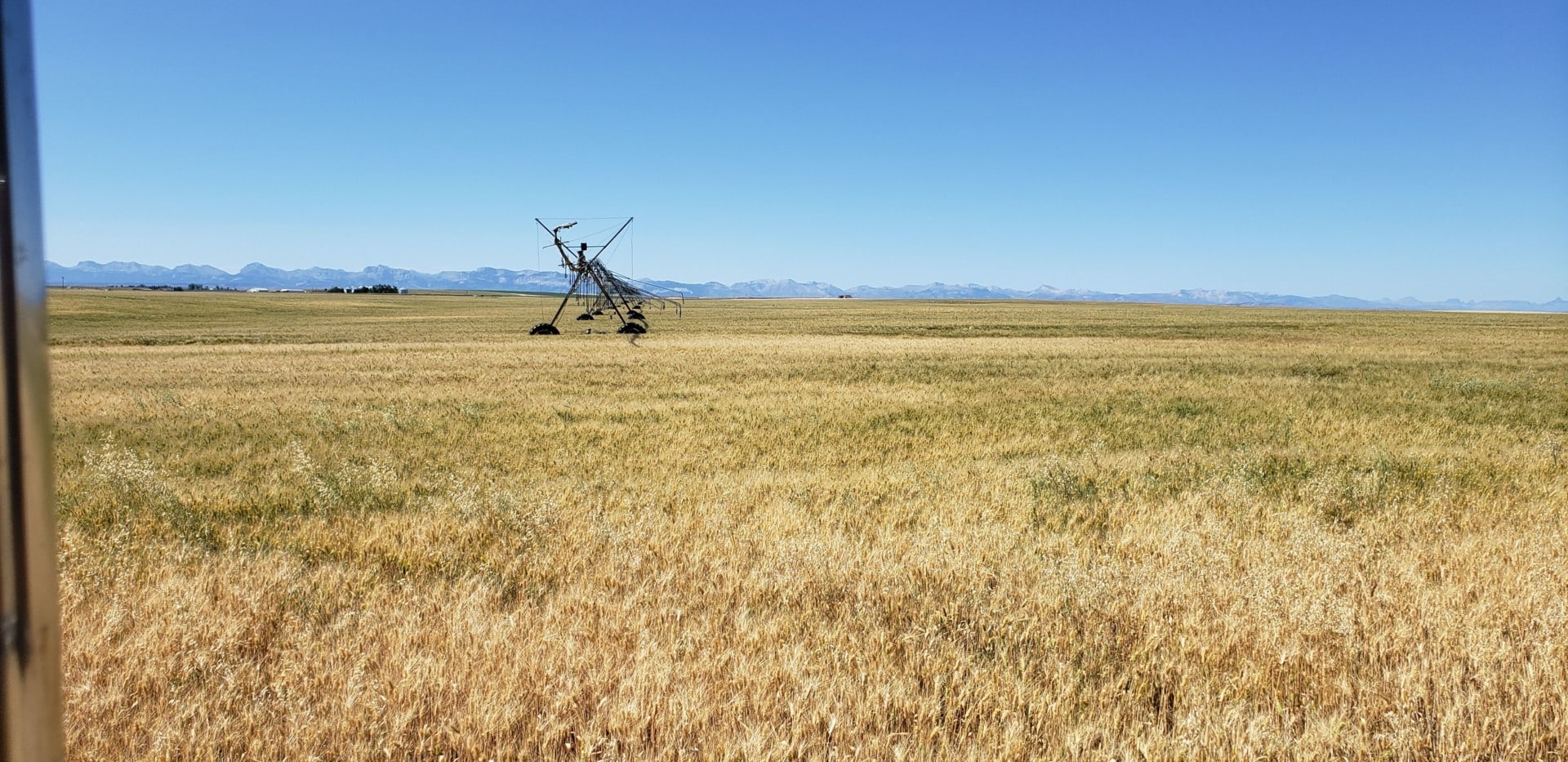 Grain Curing Montana Lake Francis Irrigated Farm
