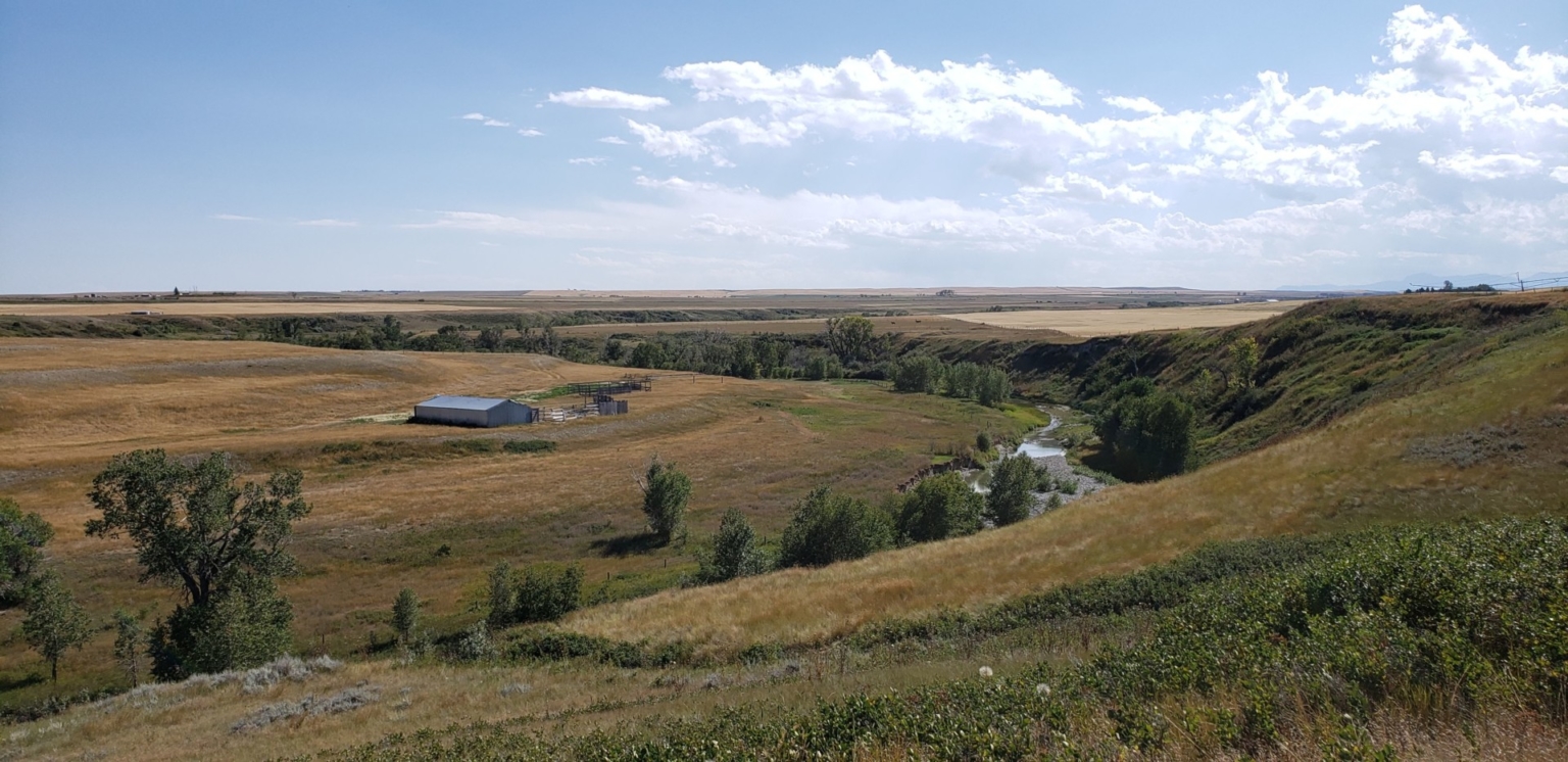 Lake Francis Irrigated Farm Valier Montana Fay Ranches