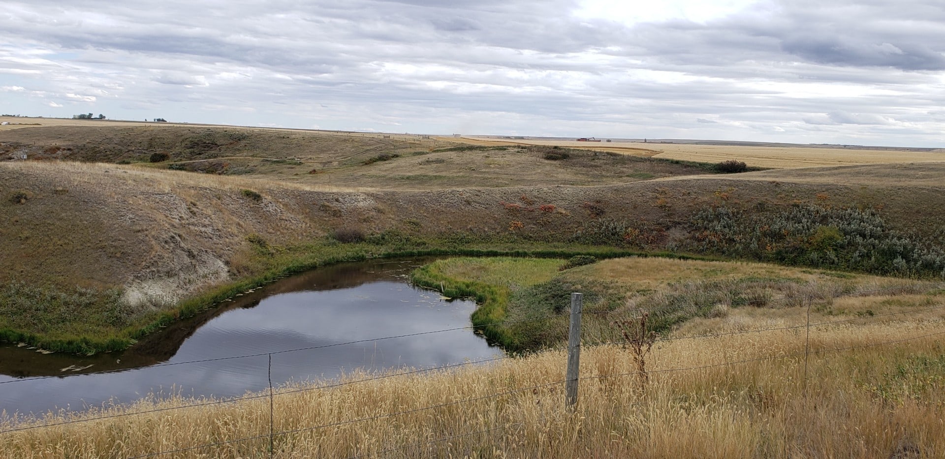 Pond Montana Lake Francis Irrigated Farm