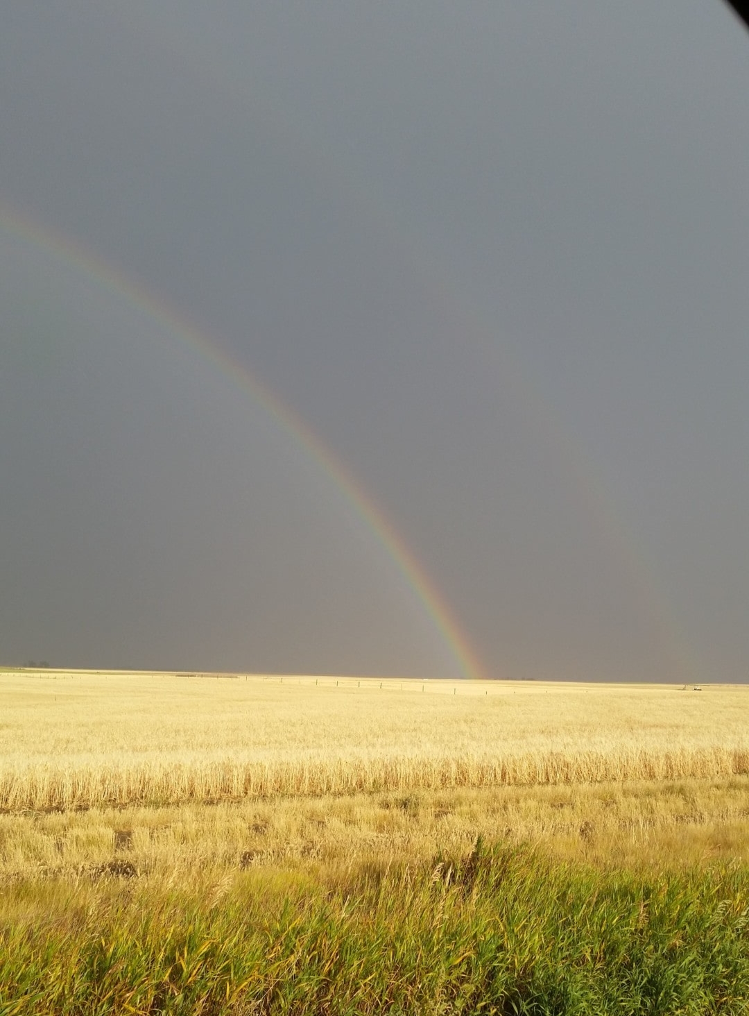 Rainbow Montana Lake Francis Irrigated Farm