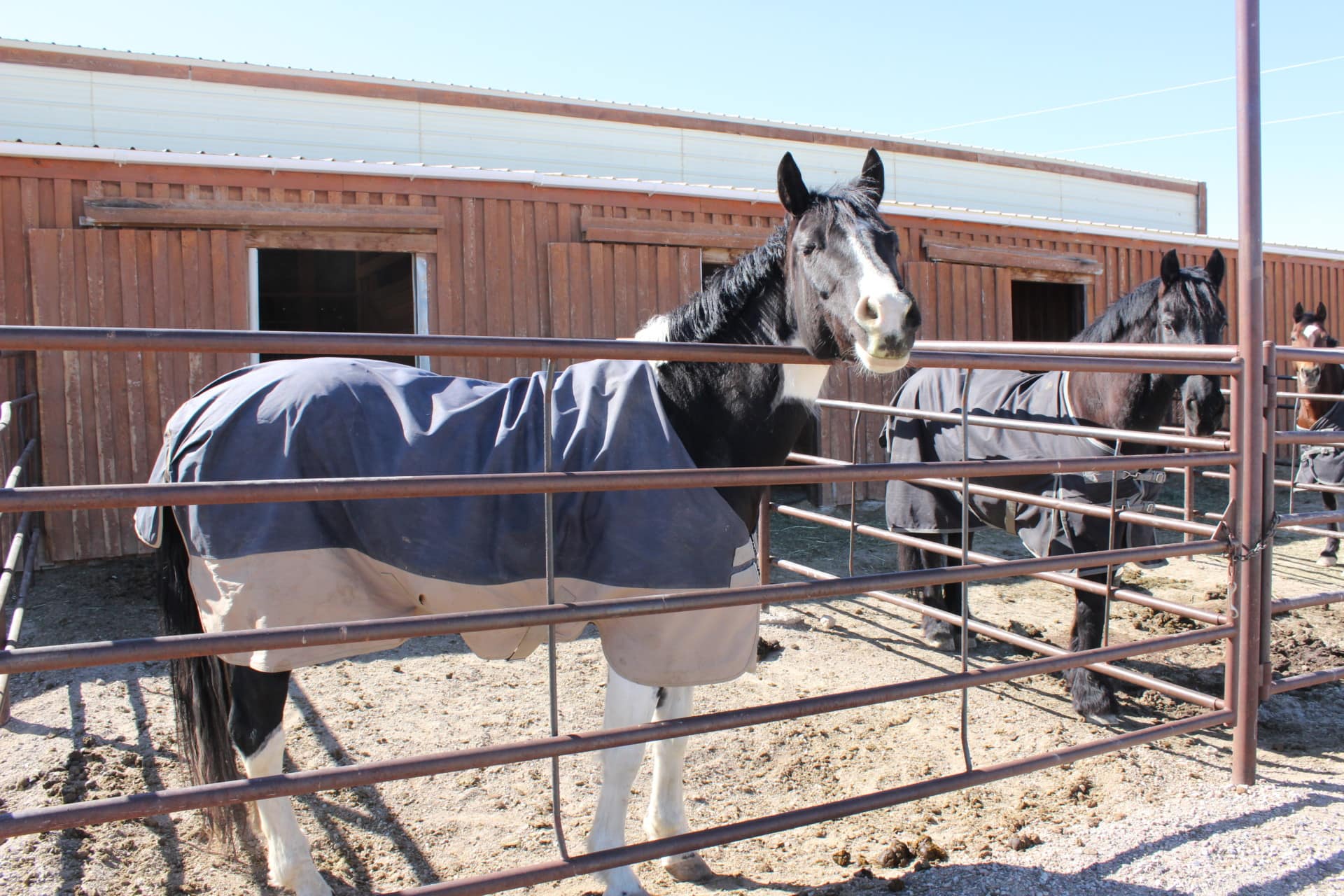 Beaverhead Valley Equestrian Center | Dillon Montana | Fay Ranches