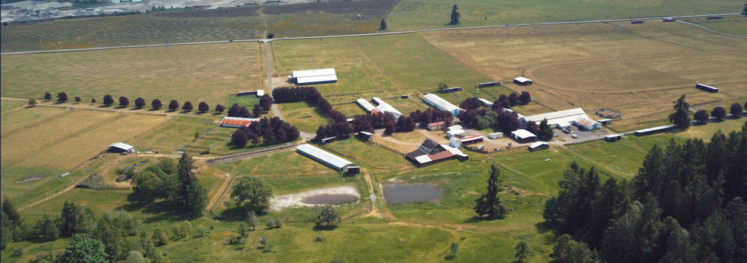 Tenino Equine Center Tenino Washington Fay Ranches